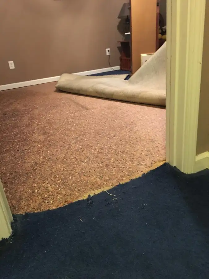 Carpet pad removal revealing water damage during Drying & Dehumidification in Bothell
