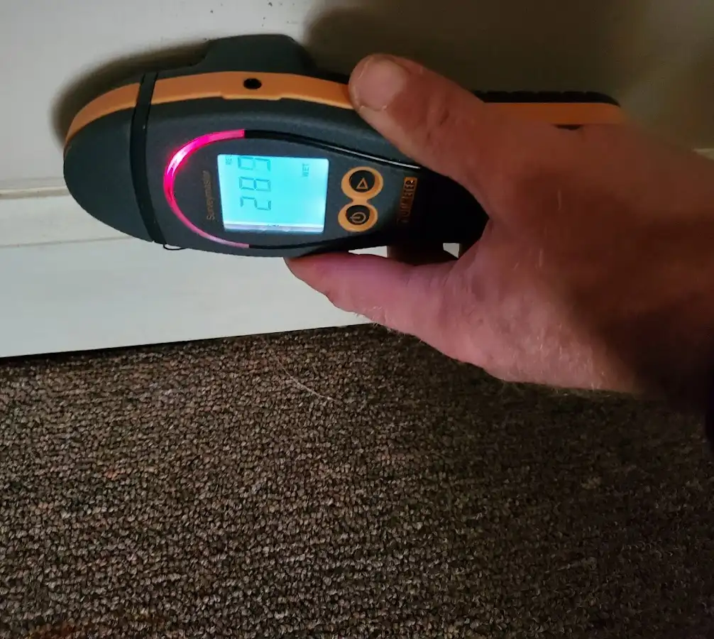 Moisture detection at baseboard during Sewage Cleanup & Sanitation in Bothell